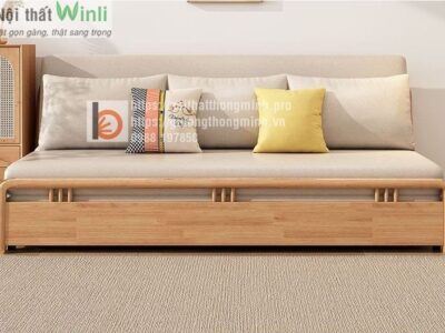 sofa bed-CST