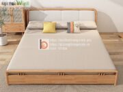 sofa giường gỗ thông minh đôi-CST